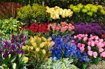 <p>Nice Flower Market</p>